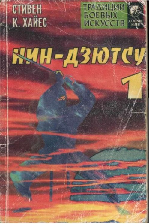 нин-дзютсу